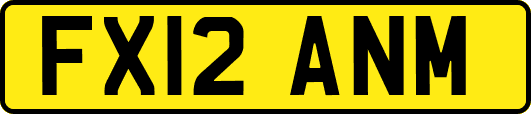 FX12ANM