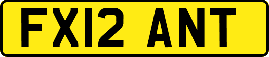 FX12ANT