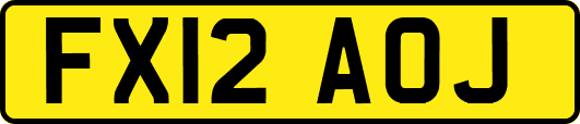 FX12AOJ