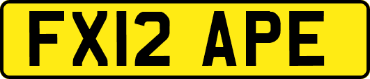 FX12APE