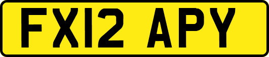 FX12APY