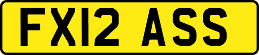 FX12ASS