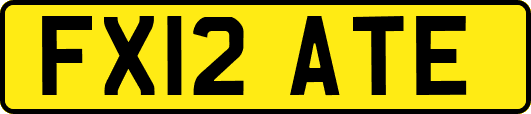 FX12ATE