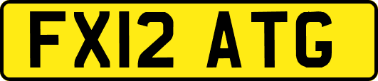 FX12ATG
