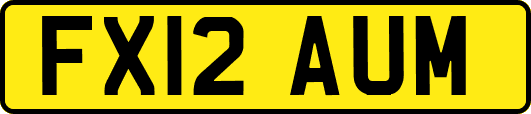 FX12AUM