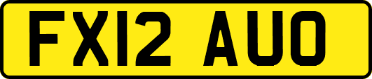 FX12AUO