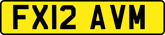FX12AVM