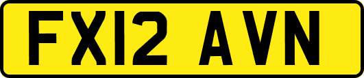 FX12AVN