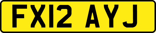 FX12AYJ