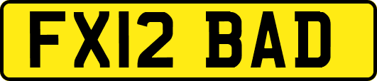 FX12BAD