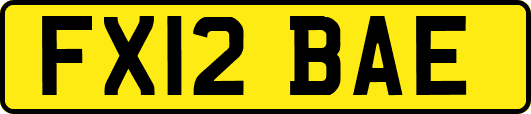 FX12BAE