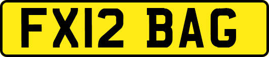 FX12BAG