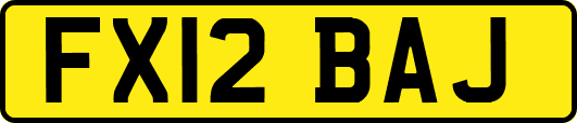 FX12BAJ