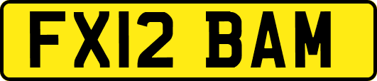 FX12BAM