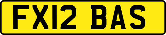 FX12BAS