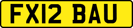 FX12BAU