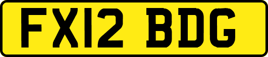 FX12BDG