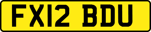 FX12BDU