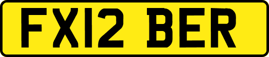 FX12BER