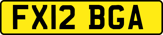 FX12BGA
