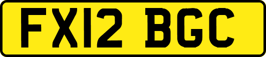 FX12BGC