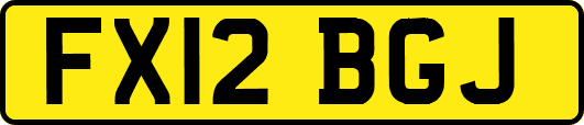 FX12BGJ