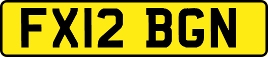 FX12BGN