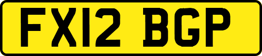 FX12BGP