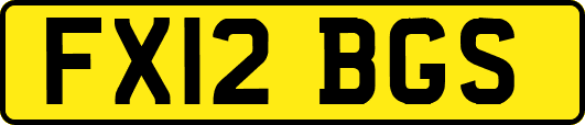 FX12BGS
