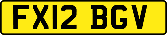 FX12BGV