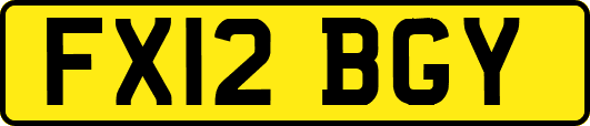 FX12BGY