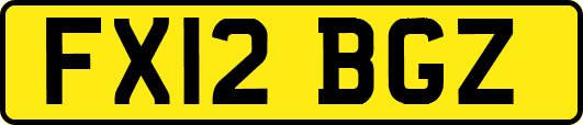 FX12BGZ