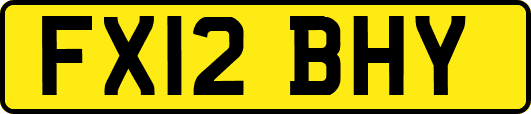 FX12BHY