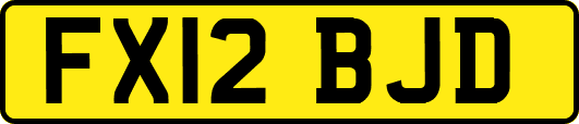 FX12BJD
