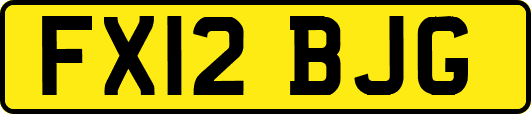 FX12BJG