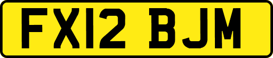 FX12BJM