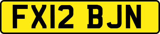 FX12BJN