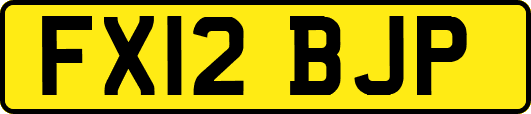 FX12BJP