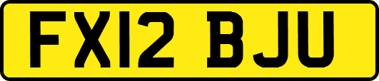 FX12BJU