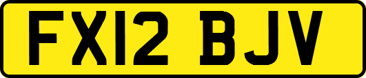 FX12BJV
