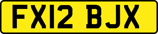 FX12BJX