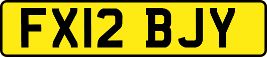 FX12BJY