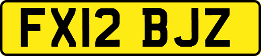 FX12BJZ