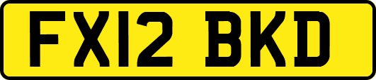 FX12BKD