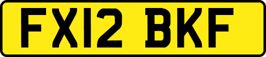 FX12BKF