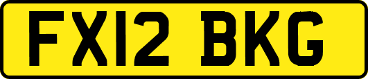 FX12BKG