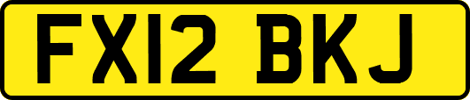 FX12BKJ