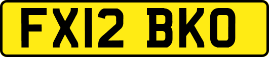 FX12BKO