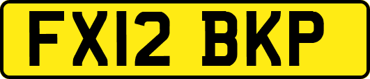 FX12BKP