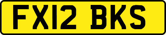 FX12BKS